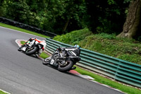 cadwell-no-limits-trackday;cadwell-park;cadwell-park-photographs;cadwell-trackday-photographs;enduro-digital-images;event-digital-images;eventdigitalimages;no-limits-trackdays;peter-wileman-photography;racing-digital-images;trackday-digital-images;trackday-photos